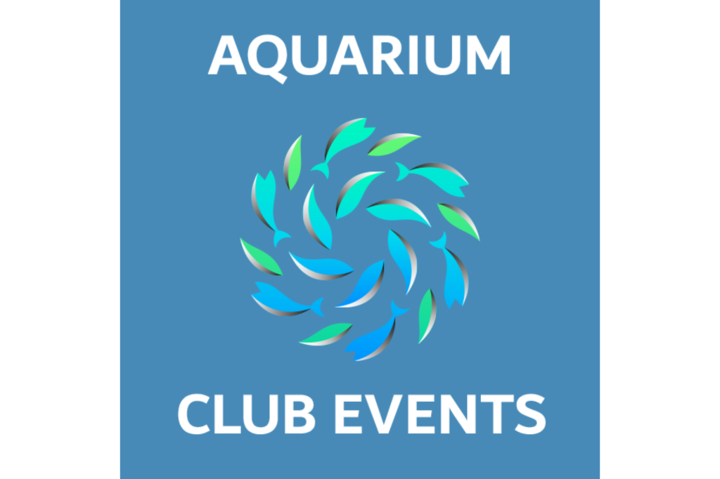 Quels Sont Les Critères à Suivre Pour Bien Choisir Son E-liquide Pour